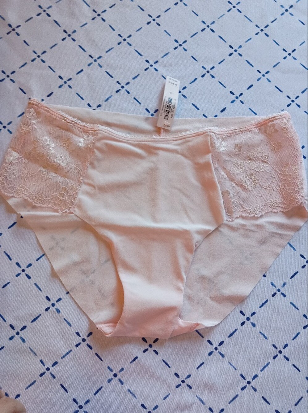 Victoria's Secret Pale Pink Lace-Panel High-Waist Brief